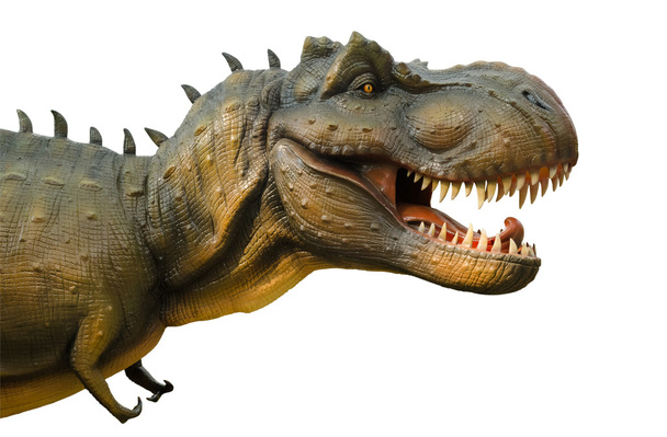 Agressieve T-Rex op witte achtergrond. - Foto, afbeelding