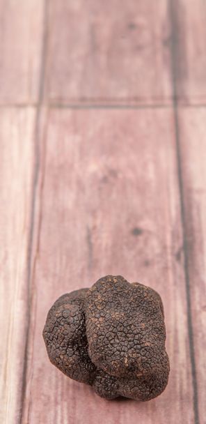 Чорний трюфель гриб
 - Фото, зображення