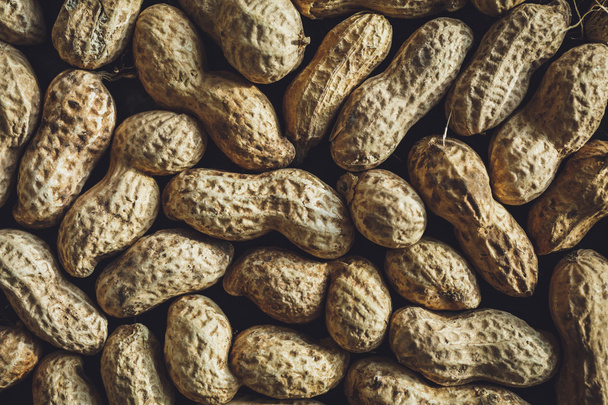 Fresh peanuts in shell - Photo, Image