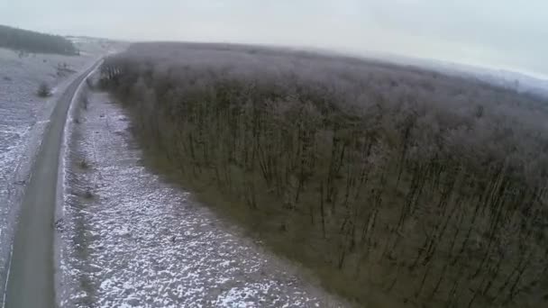 karla kaplı orman ve kış yol üzerinde uçuş - Video, Çekim