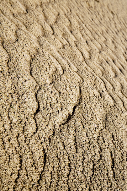   Бурая дюна Сахара Марокко
  - Фото, изображение