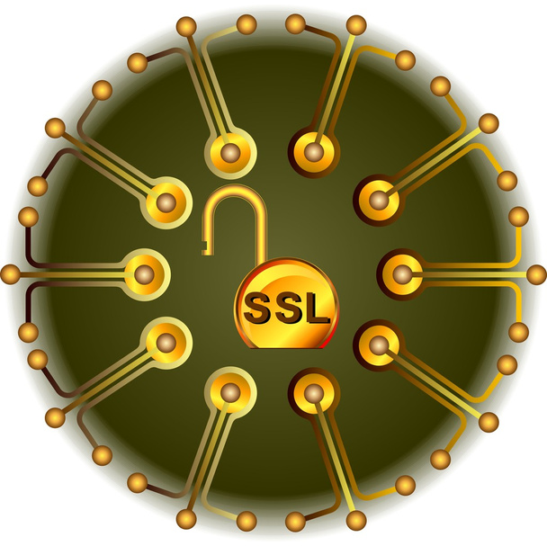 SSL - biztonsági arany - Vektor, kép