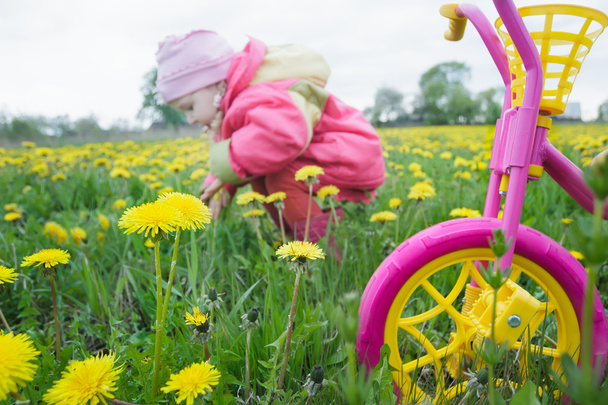 Дитячий триколір Magenta з жовтими колесами і маленькою дівчинкою-малюком, що збирає квіти кульбаби на весняному лузі
 - Фото, зображення
