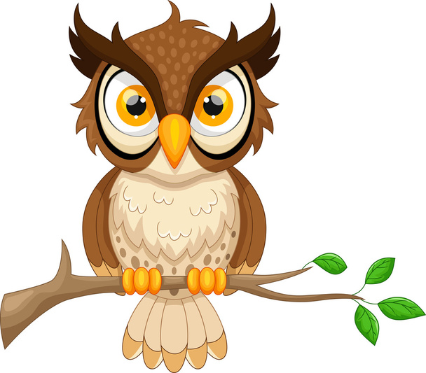 Cartoon owl sitting on tree branch - Διάνυσμα, εικόνα