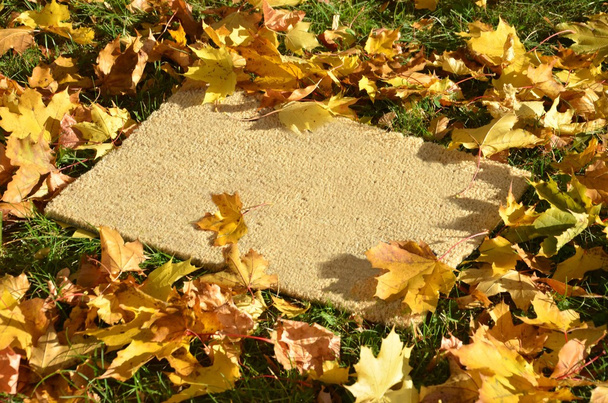 Tappeto sdraiato sull'erba in autunno
 - Foto, immagini
