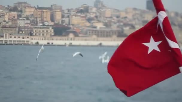 Turkish flag and seagull - Footage, Video