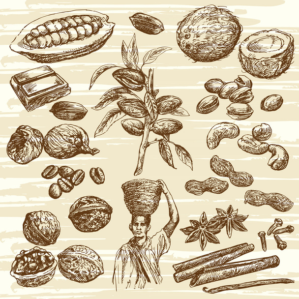 hand drawn nuts collection - Vector, Image