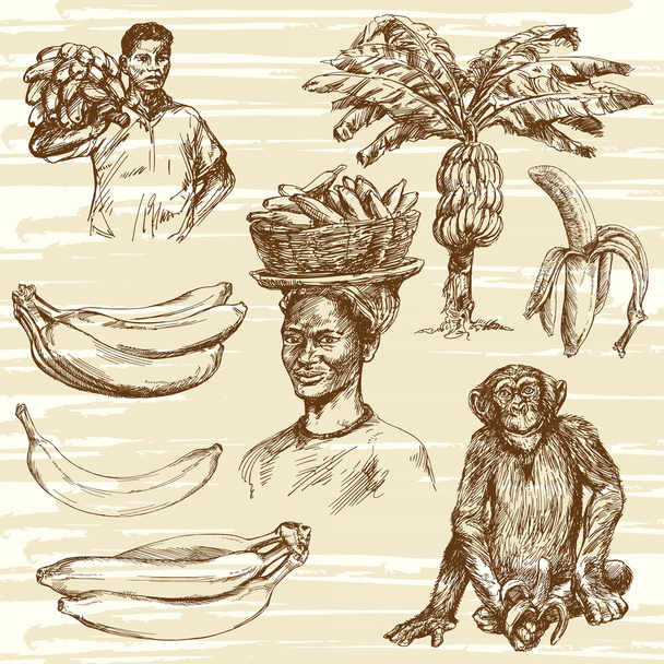 Набір бананів, намальована вручну ілюстрація
 - Вектор, зображення
