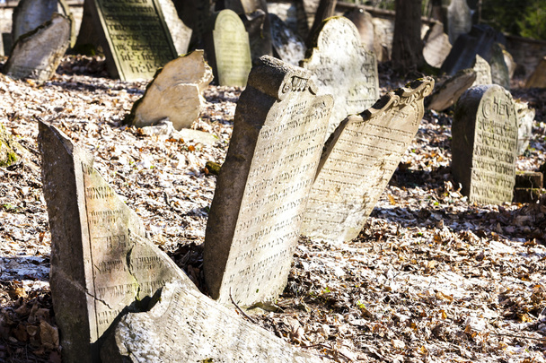 židovský hřbitov, Luže, Česká republika - Fotografie, Obrázek