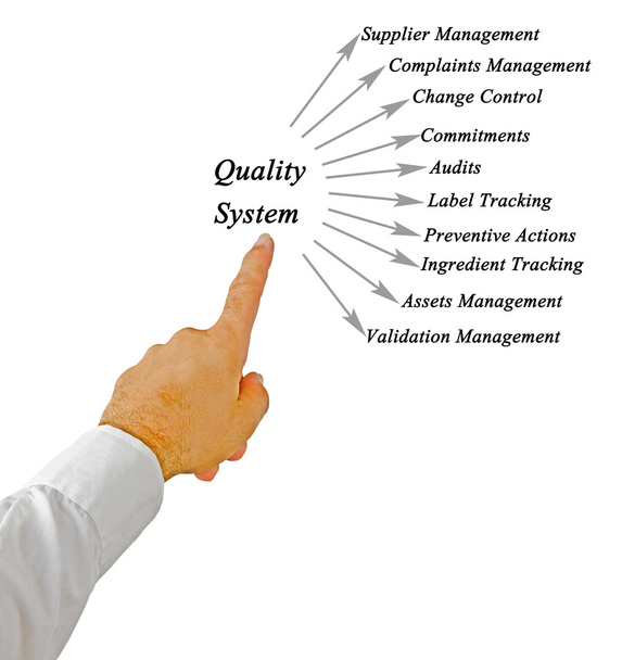 Diagrama del sistema de calidad
 - Foto, imagen