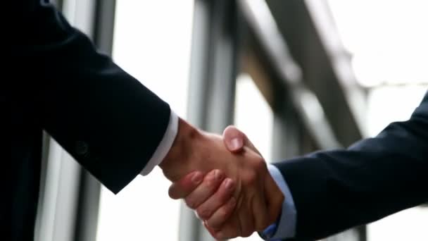 uomini d'affari che stringono la mano in ufficio - Filmati, video