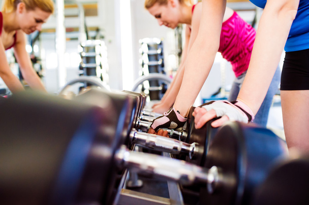 women in gym working out with weights - 写真・画像
