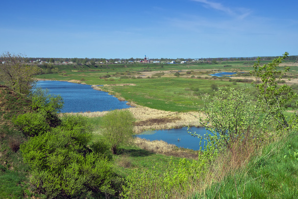 Water-meadow. Central Russia - Фото, изображение
