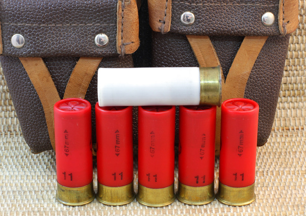 Shotgun cartridges 11 and 12 and hunting bag - Photo, Image