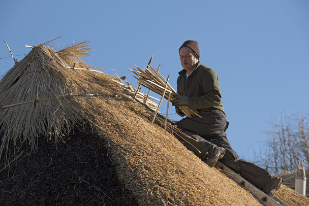 Mestre thatcher trabalhando em um telhado de palha
 - Foto, Imagem