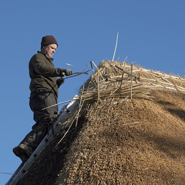 Maître chaudronnier travaillant sur un toit de chaume
 - Photo, image