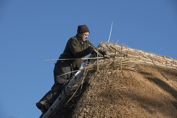 Master thatcher working on a thatched roof - Photo, Image