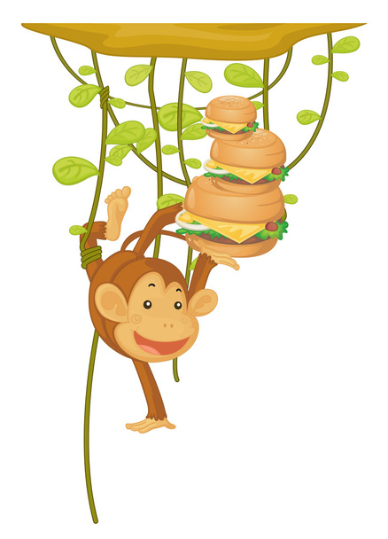 scimmie - Vettoriali, immagini
