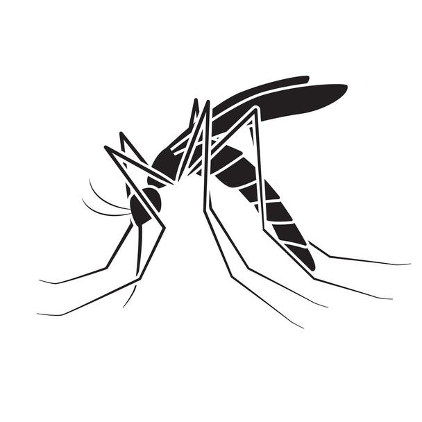 vettore di zanzare, segno e simbolo
 - Vettoriali, immagini