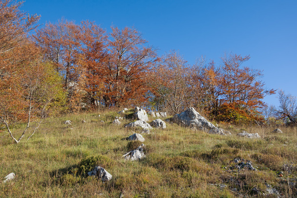 Autumn in the mountains. Montenegro - Foto, afbeelding