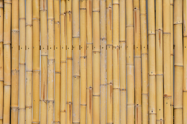 Přírodní žluté bambus vertikální těla pozadí - Fotografie, Obrázek