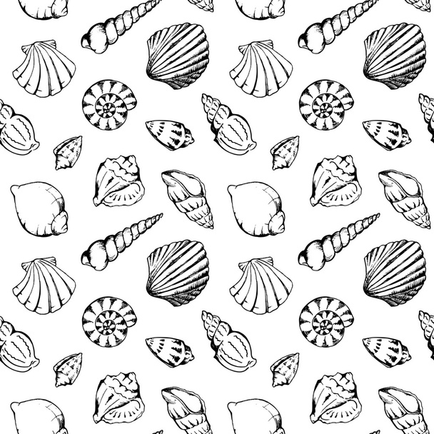 Monocromo mar conchas vector sin costura patrón textura fondo
 - Vector, Imagen