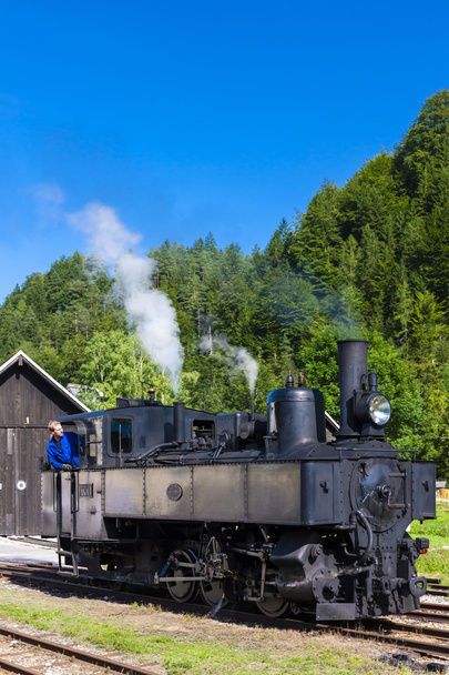 locomotiva a vapore, Lunz am See, Bassa Austria
 - Foto, immagini