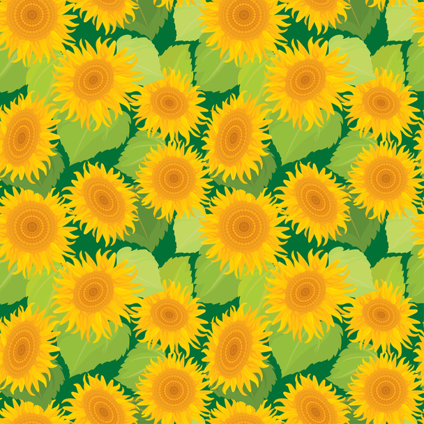 Seamless pattern with sunflowers. Summer season, nature backgrou - Διάνυσμα, εικόνα