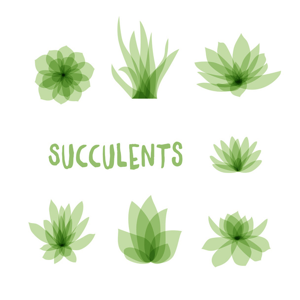Graphic Set of succulents isolated on white background for design of cards, invitations - Vetor, Imagem