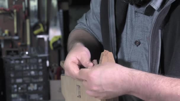 仕事でマスター弦楽器ギター - 映像、動画