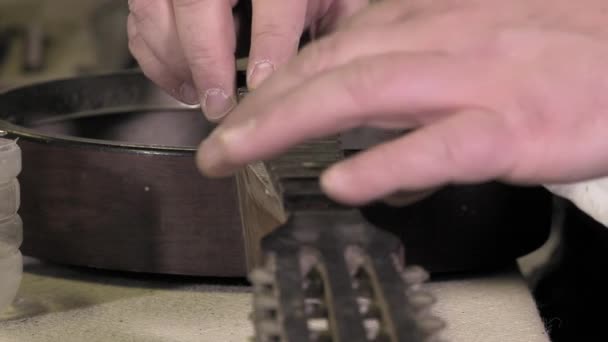 Master guitarras luthier en el trabajo
 - Imágenes, Vídeo
