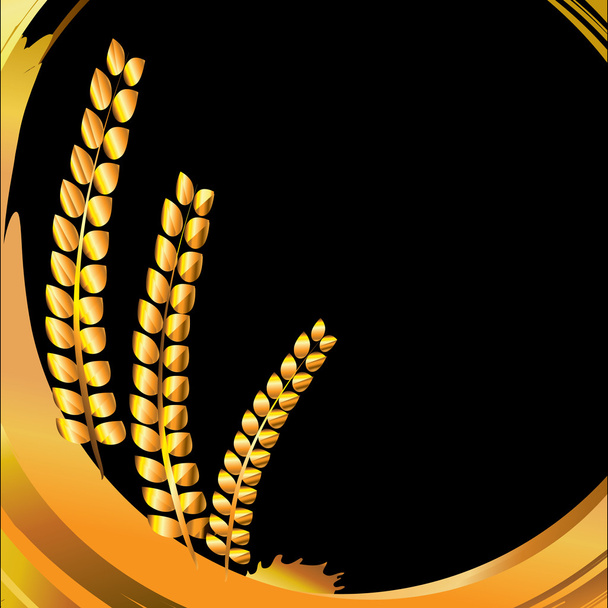 Gold barley with grains in close up gold painting frame vector illustration. Golden rue growth on black background. Square banner, decor element - gold brush strokes and golden cereal. Eps 10. - Vektori, kuva