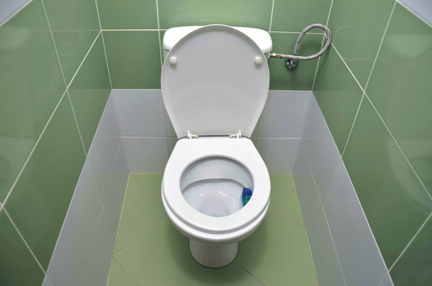 Splachovací záchod vedle sebe čerstvý zelený materiál - Fotografie, Obrázek