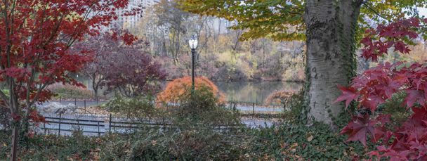 Central Park, New York automne
 - Photo, image