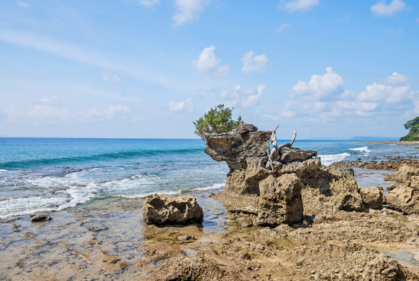 Proyección de roca en la orilla del mar
 - Foto, Imagen