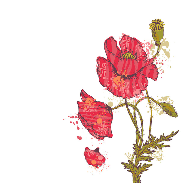 Hand getrokken rode papaver bloemen kaart - Vector, afbeelding