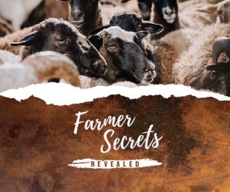 Farming Tips with Cute Sheep Herd Medium Rectangle Design Template