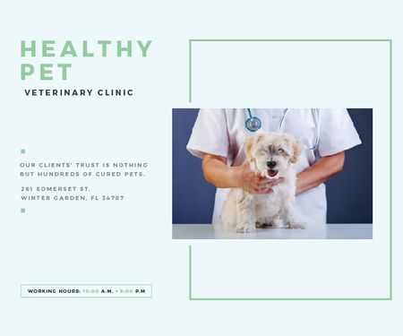 Platilla de diseño Healthy pet veterinary clinic Medium Rectangle