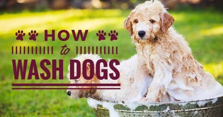Szablon projektu How to wash dogs advices with wet Dogs Facebook AD