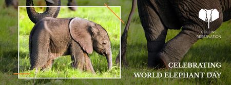 Ontwerpsjabloon van Facebook cover van Elephant Day Celebration met kleine olifant