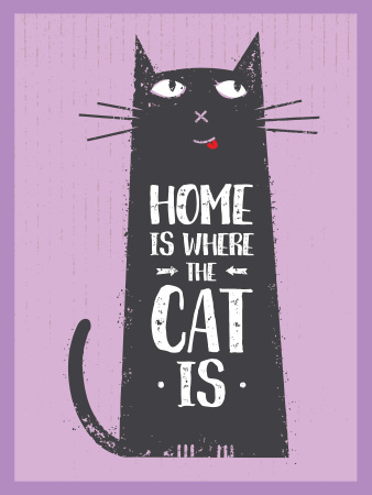 Template di design Cat Adoption Quote Funny Kitty in Purple Poster US