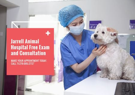 Dog in Animal Hospital Postcard Šablona návrhu