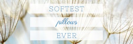 Ontwerpsjabloon van Email header van Softest Pillows Ad with Tender Dandelion Seeds