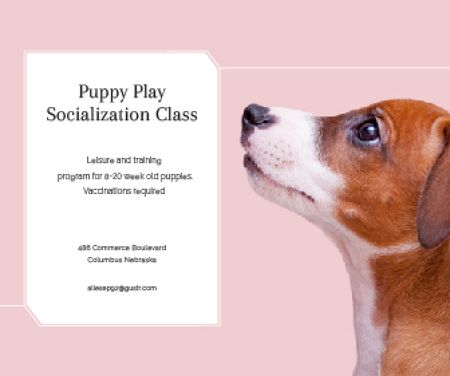 Plantilla de diseño de Puppy play socialization class Large Rectangle 