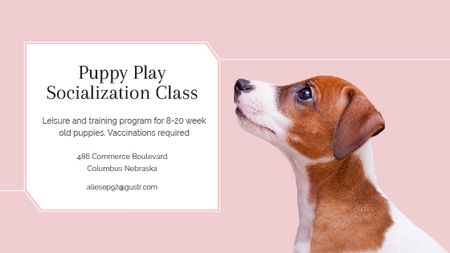 Puppy socialization class with Dog in pink Title Modelo de Design