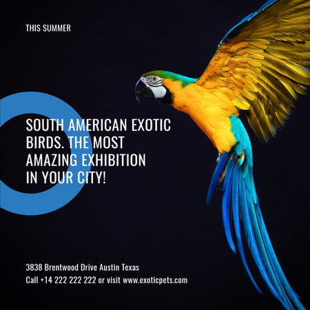 Exotic birds Exhibition Announcement with Bright Parrot Instagram Design Template