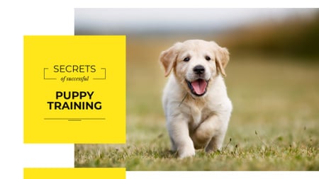 Template di design Riuscito addestramento del cucciolo con il simpatico cane sull'erba Presentation Wide