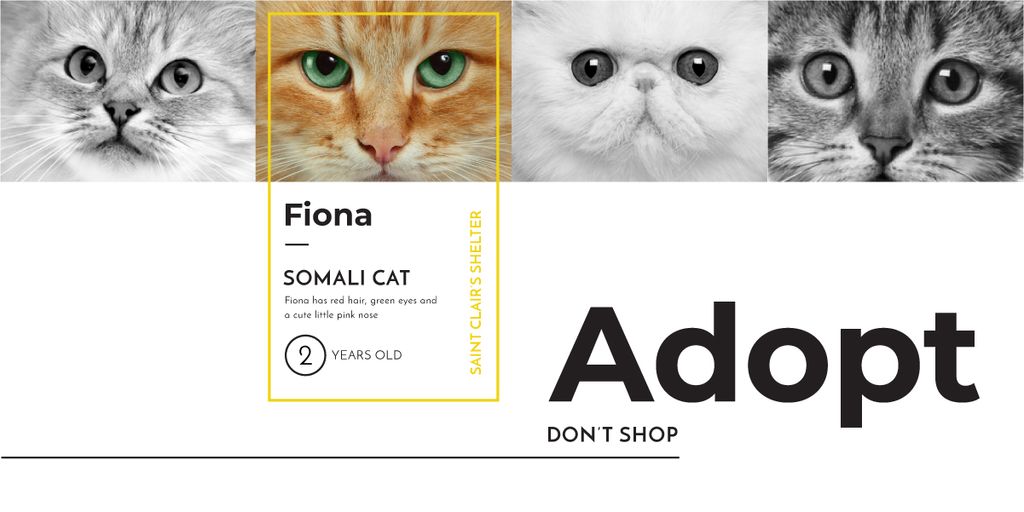 Cat Adoption From Pet`s Shelter Image Design Template