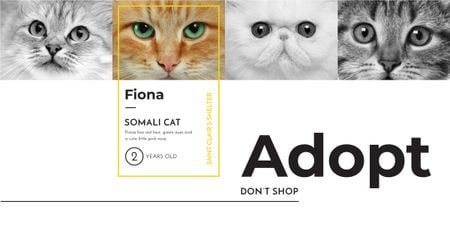 Cat Adoption From Pet`s Shelter Image Design Template
