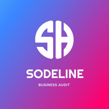 Business Audit Company with Simple Icon Logo Design Template